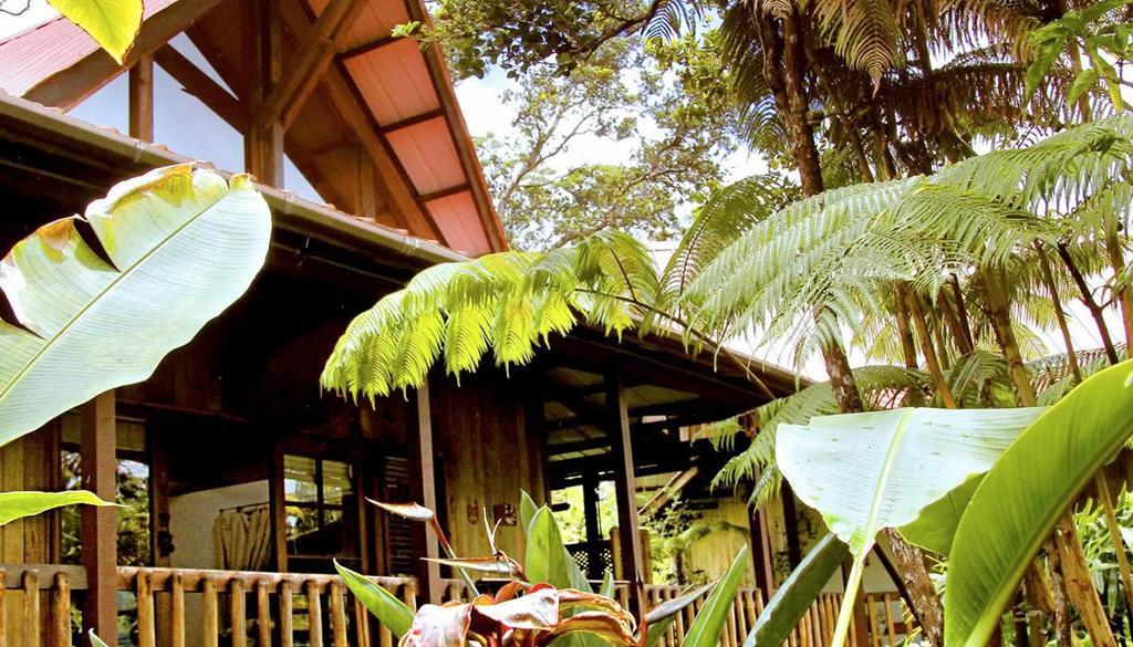 Lotus Garden Cottages Volcano Exterior foto