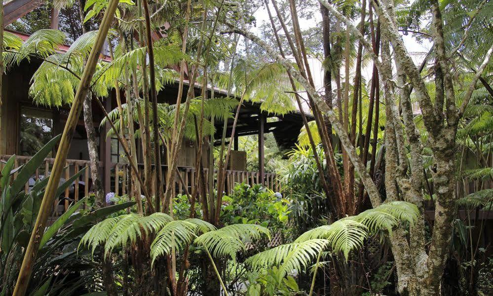 Lotus Garden Cottages Volcano Exterior foto